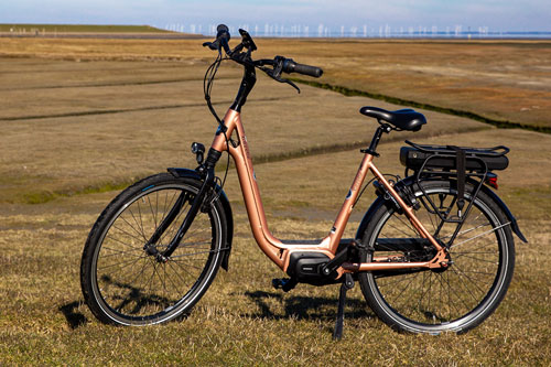 E-Bike-Pedelec-Elektrofahrrad